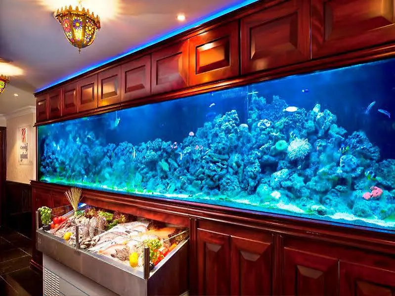****  אבו דאבי Swiss Hotel Corniche איחוד האמירויות הערביות